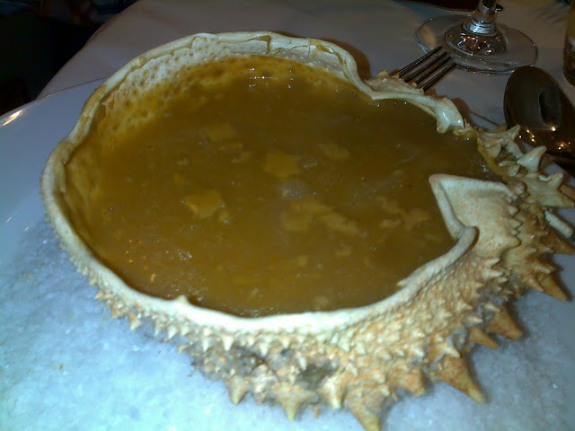 Spazio Buondi – Nobre (Lisboa)