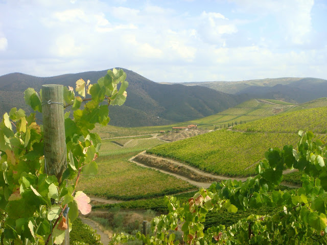 Quinta de Ervamoira (Vila Nova de Foz Côa)