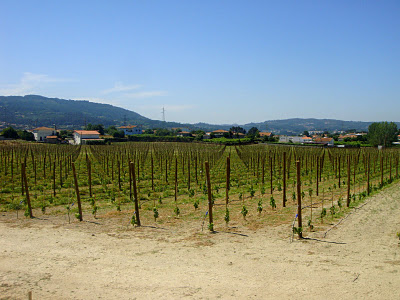 Quinta de Gomariz (Santo Tirso)