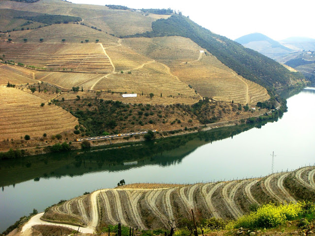 Vinhos para o Dia do Pai