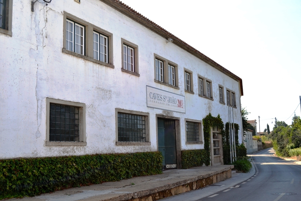Caves São João (Anadia, Bairrada)
