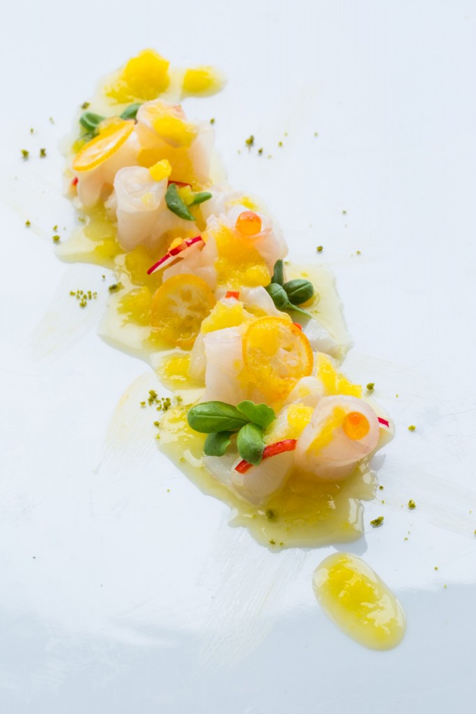 ceviche Sushic com manga