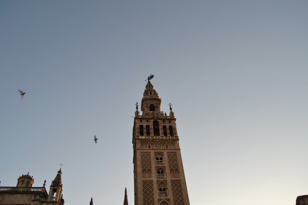 DSC_0138