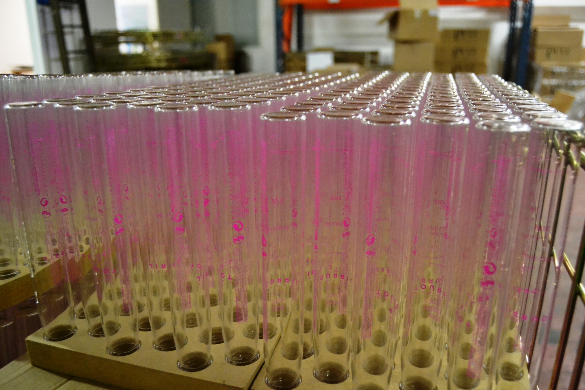 WIT France Wine In Tube Joli