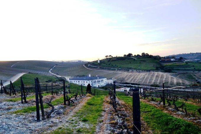 Quinta de Cidrô