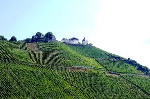 Mosel