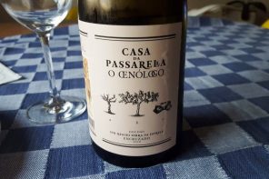 O Enólogo Encruzado 2016