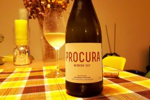 Procura na Anfora Branco 2017